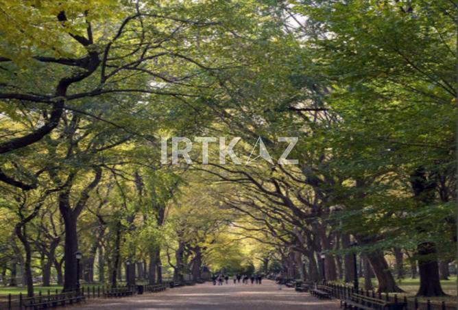 8162453 - صورة العقار 2