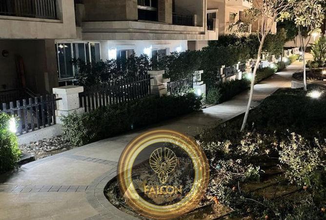 8439593 - Property Image 3