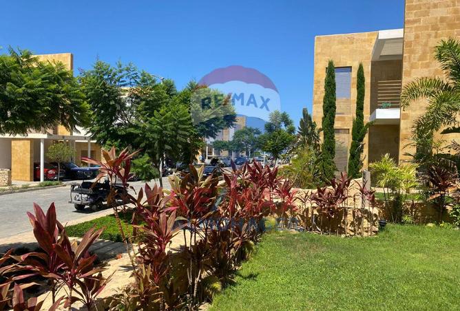 7901619 - صورة العقار 3