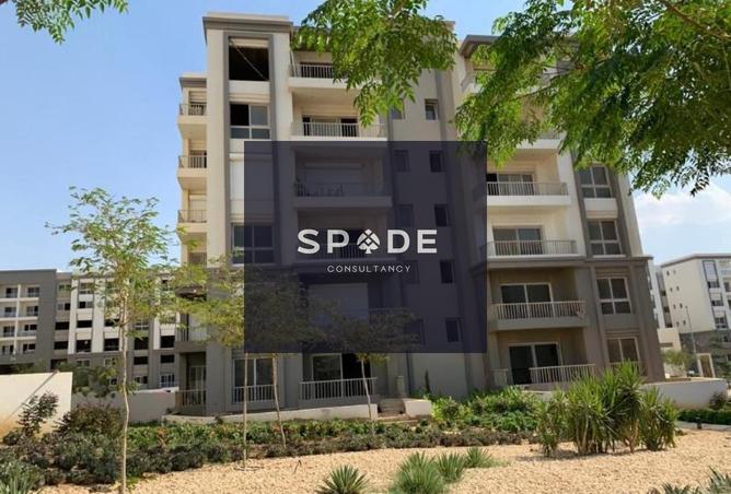 8549656 - Property Image 2