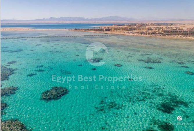 7983321 - Property Image 3