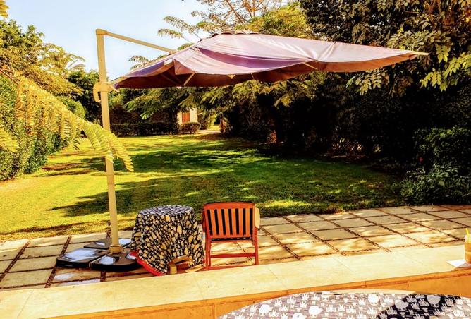 8204380 - Property Image 3