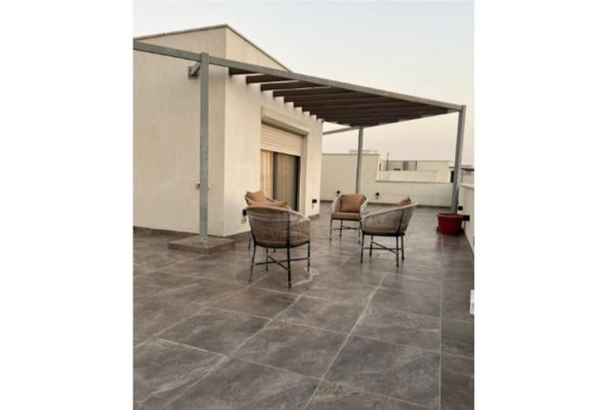 8503773 - Property Image 3