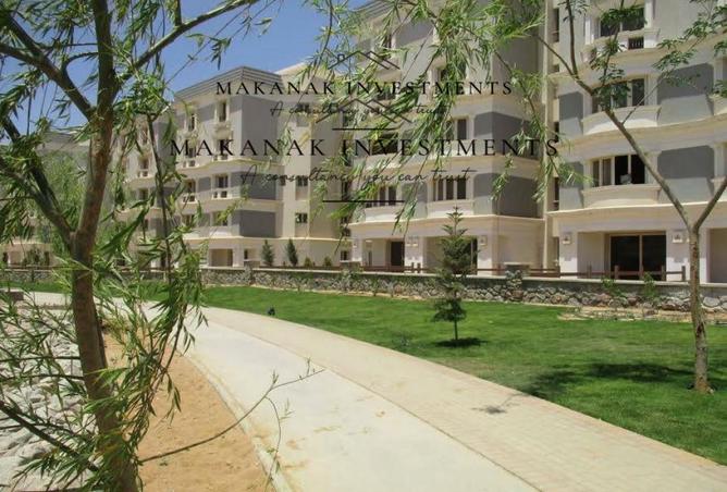 8421630 - Property Image 3