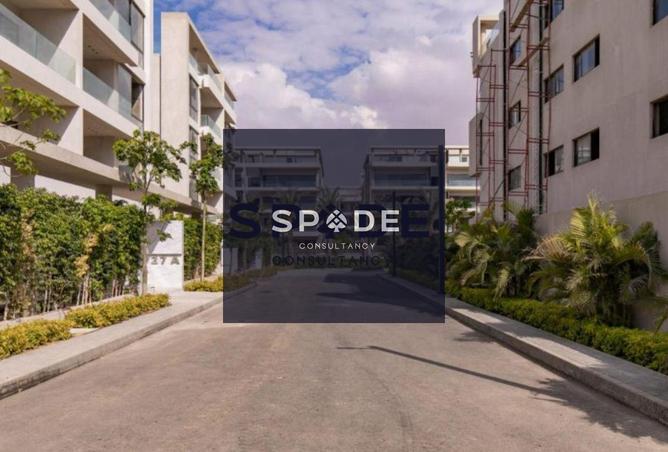 8418738 - Property Image 3