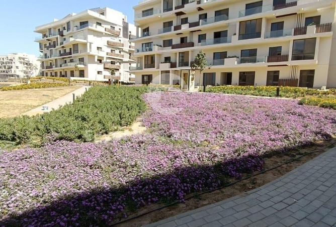 8177936 - Property Image 3