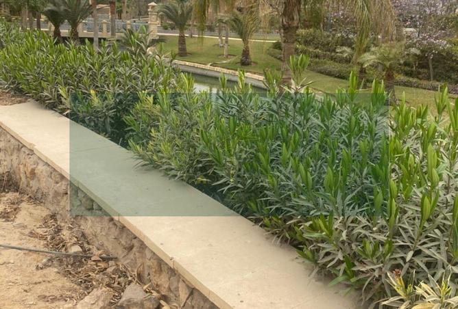 8347069 - الصورة الرئيسية للعقار