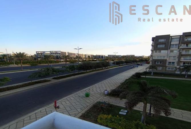 8428935 - Property Image 3