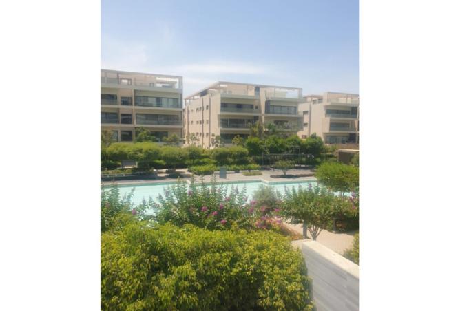 8428603 - Property Image 3