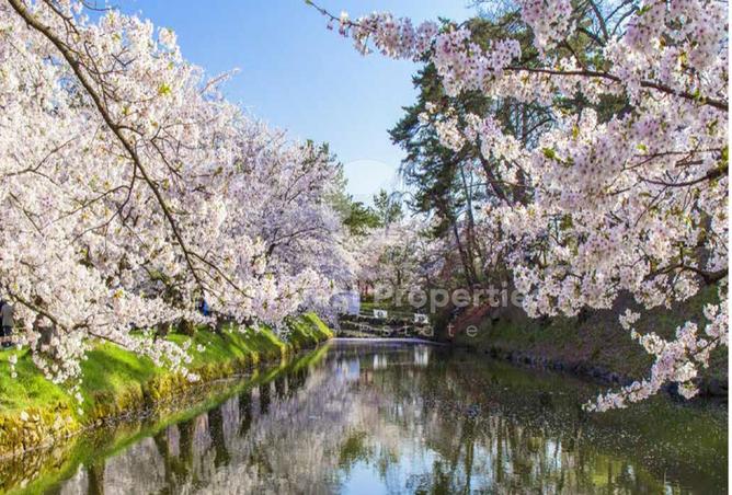 8543032 - Property Image 3