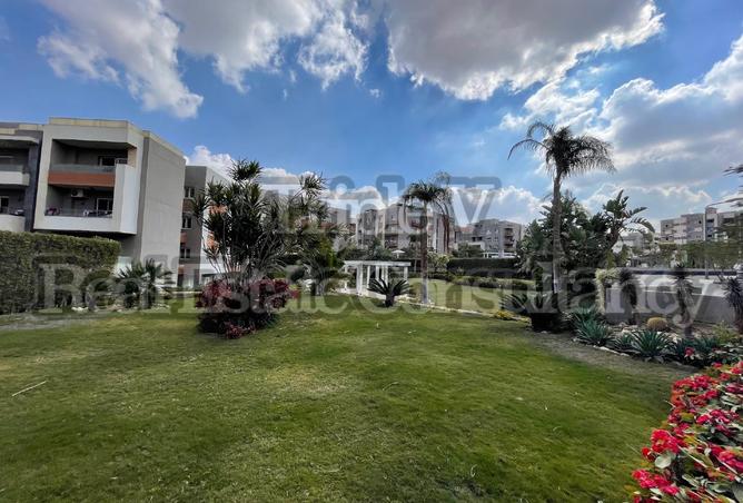 7961094 - صورة العقار 2