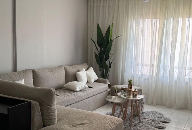 8559457 - Property Image 3