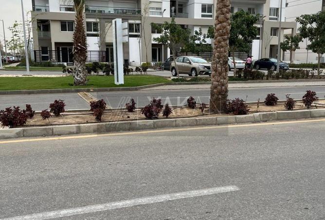 8358367 - صورة العقار 3