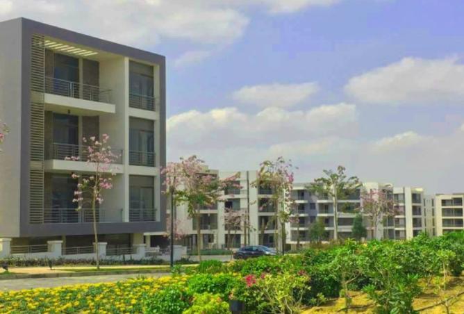 8371855 - Property Image 3