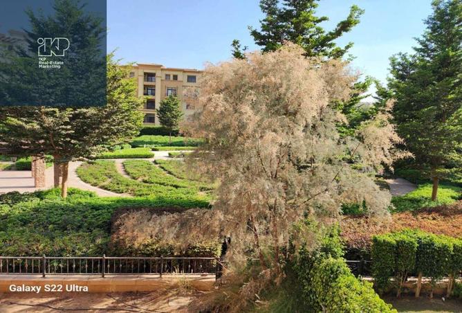 8215848 - Property Image 2