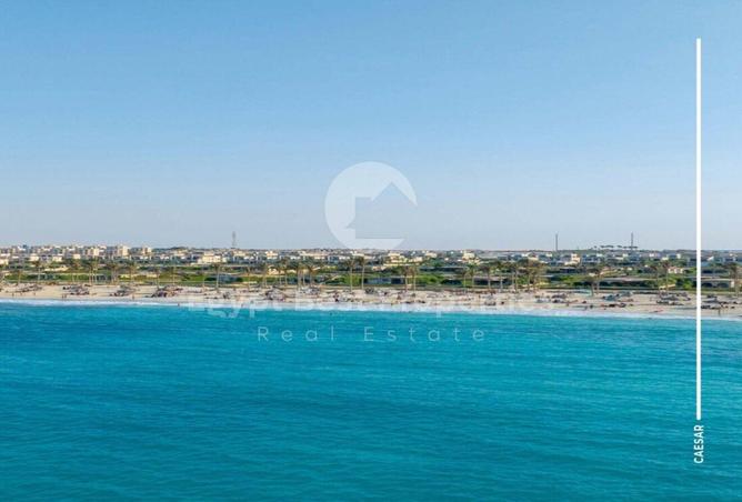 8028951 - Property Image 2