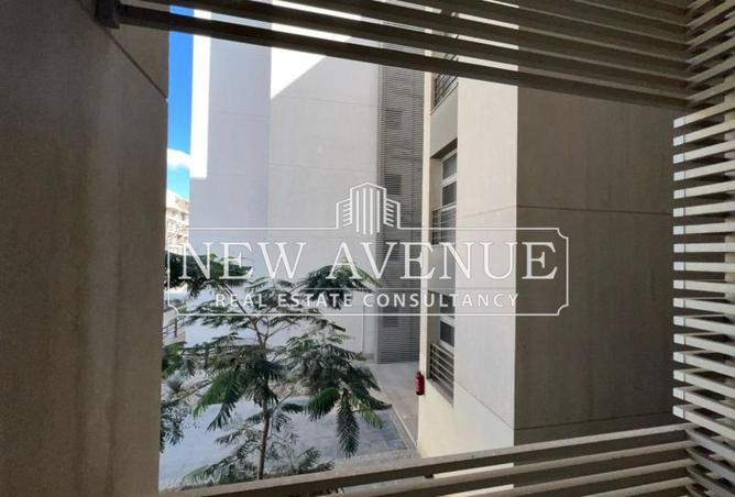 8364636 - Property Image 3