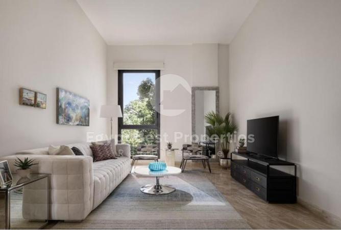 8378596 - Property Image 3