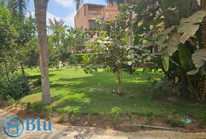 8168557 - الصورة الرئيسية للعقار