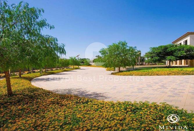 8325988 - Property Image 3