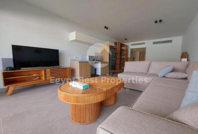8396517 - Property Image 2