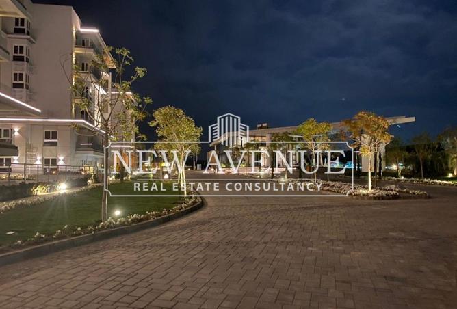 8244344 - Property Image 3