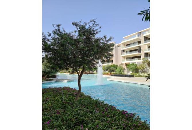 8165258 - صورة العقار 3