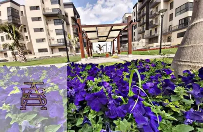 Apartment - 3 Bedrooms - 2 Bathrooms for sale in Madinaty - Cairo