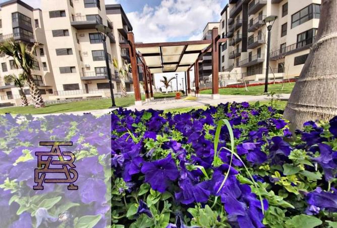 8025846 - Property Main Image