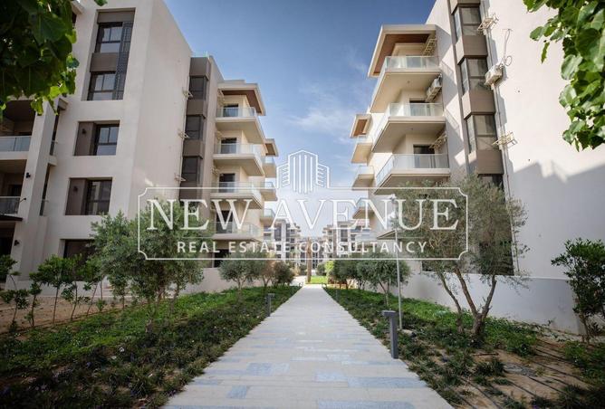 8436010 - Property Image 2