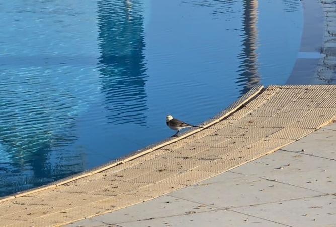 8396027 - صورة العقار 3