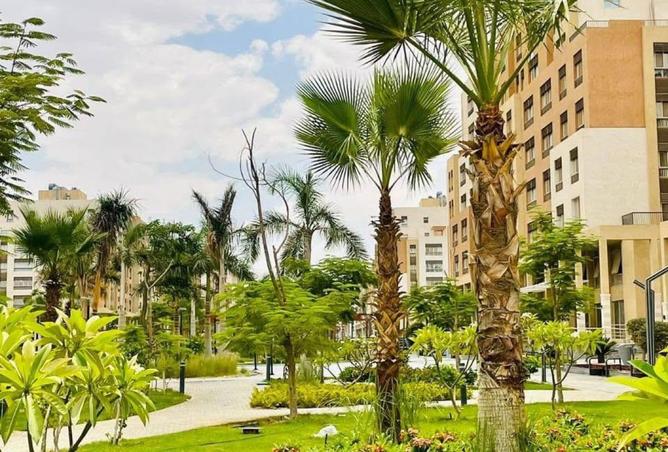 8476593 - Property Image 3