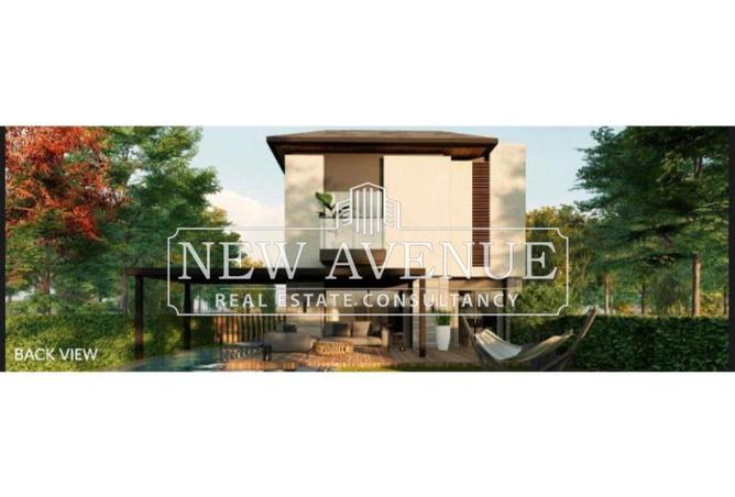 8428077 - Property Image 3