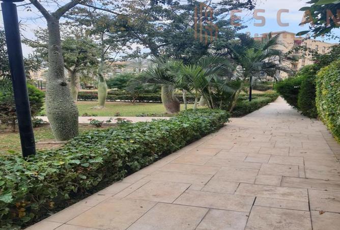 8222382 - صورة العقار 3