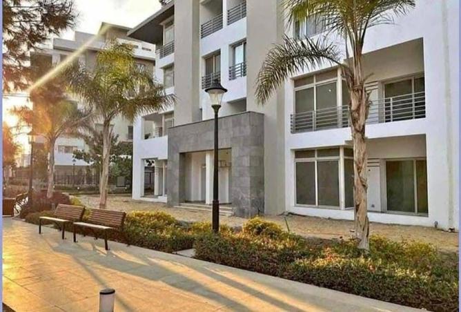 8409236 - Property Image 2