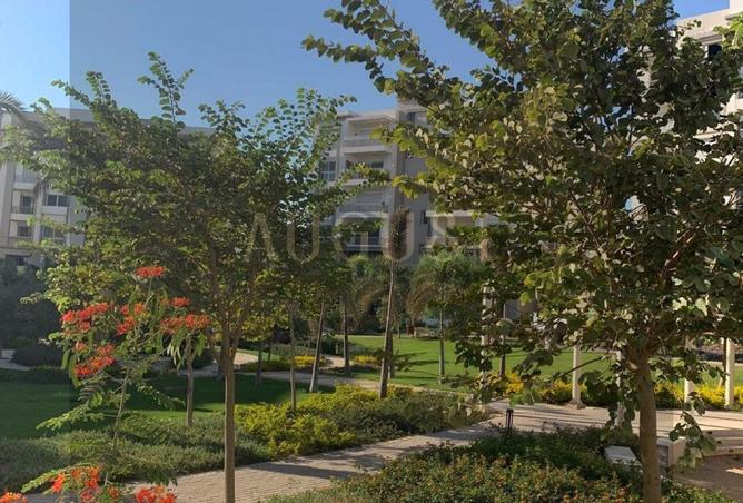 8131797 - Property Image 2