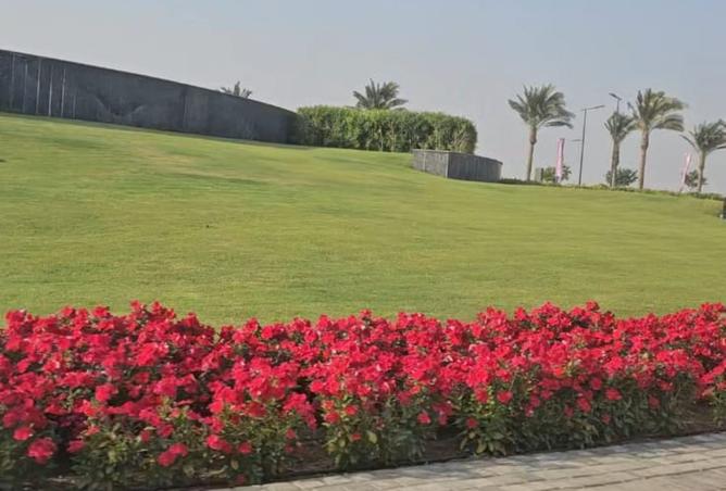 8506462 - صورة العقار 3