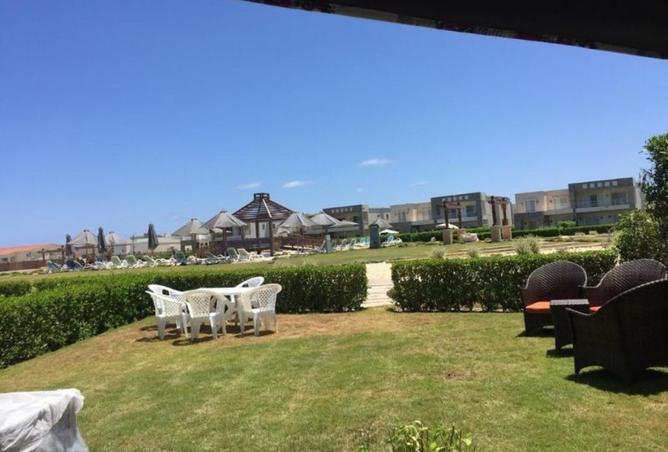 8376408 - Property Image 3