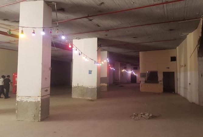 8026130 - صورة العقار 3