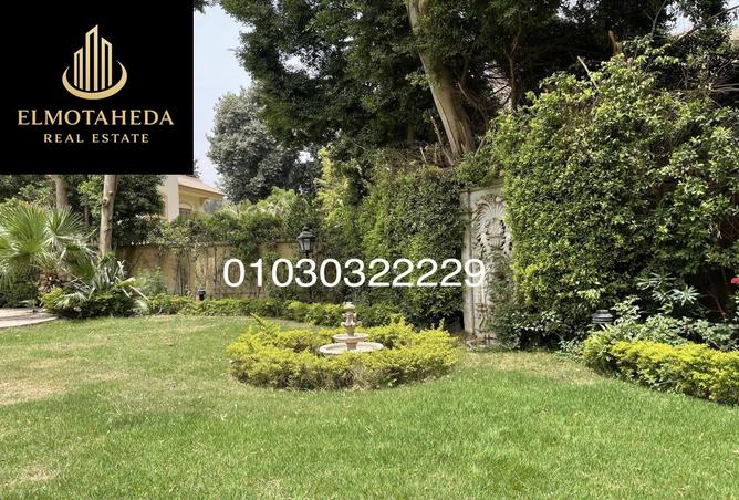 8065310 - صورة العقار 3