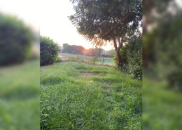 شاليه - 2 غرف نوم - 2 حمامات for للبيع in ستيلا دى ماري 1 - ستيلا دى ماري - العين السخنة - السويس شاليه - 2 غرف نوم - 2 حمامات for للبيع in ستيلا دى ماري 1 - ستيلا دى ماري - العين السخنة - السويس