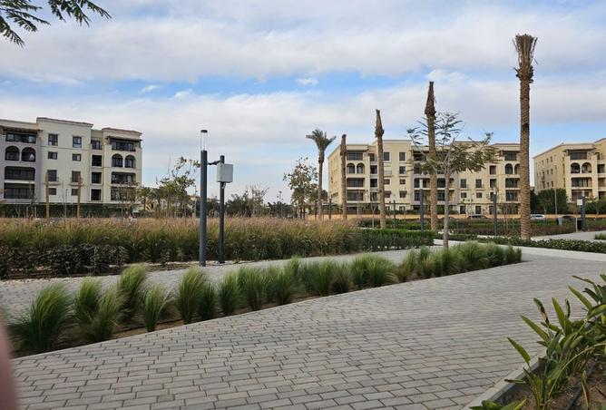8033324 - صورة العقار 3
