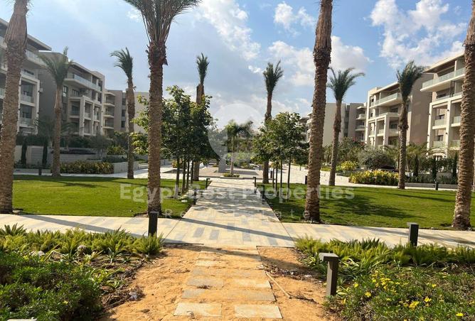 8195330 - صورة العقار 2