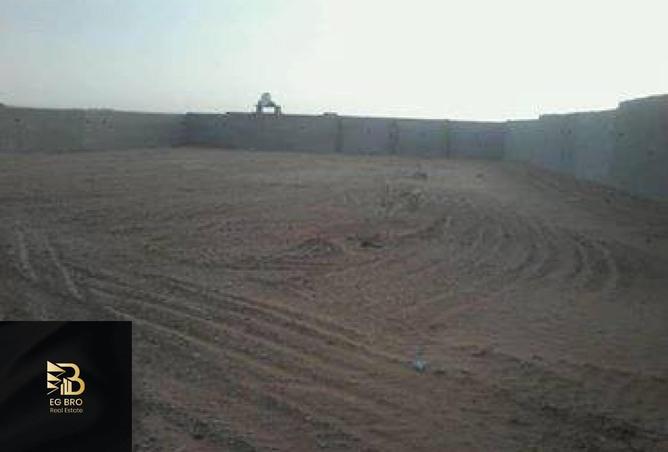 8187309 - الصورة الرئيسية للعقار