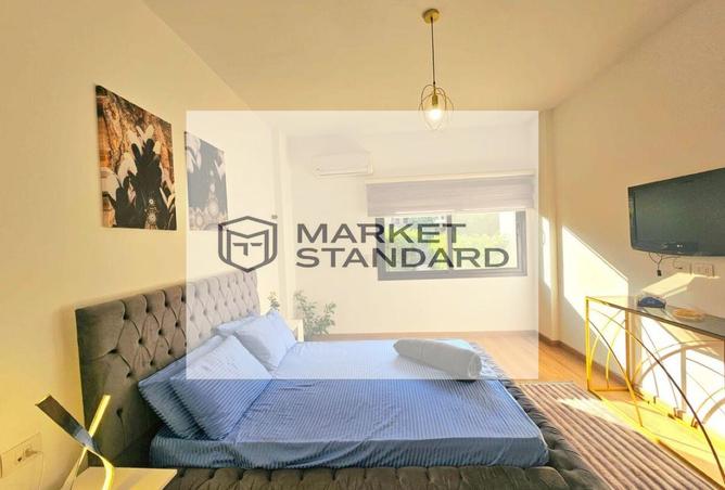 7935235 - Property Image 3