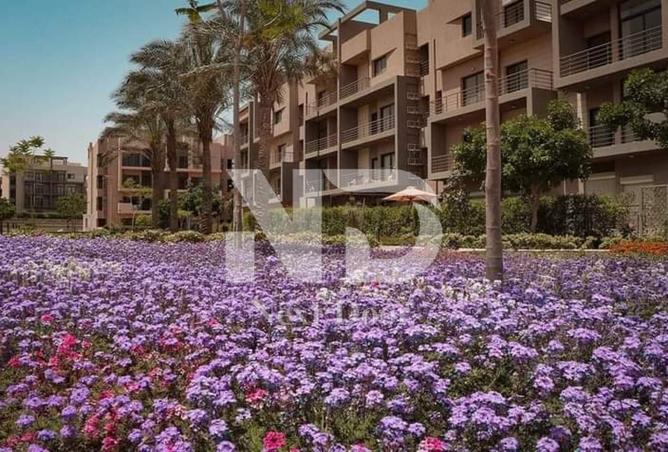 7886862 - صورة العقار 2