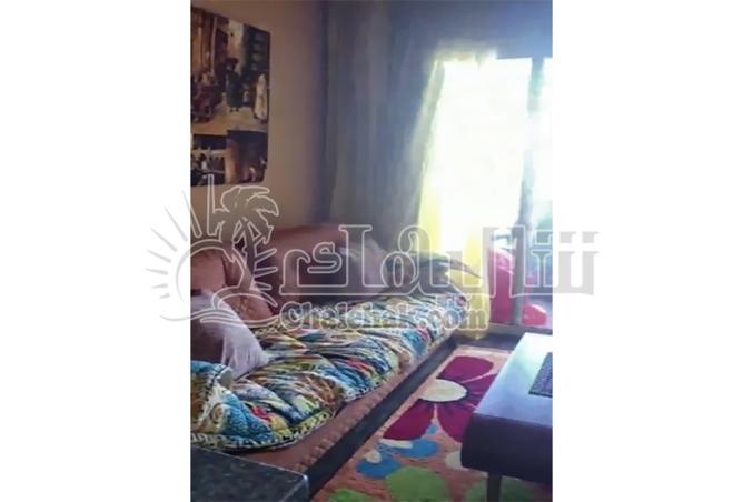 8385800 - Property Image 2