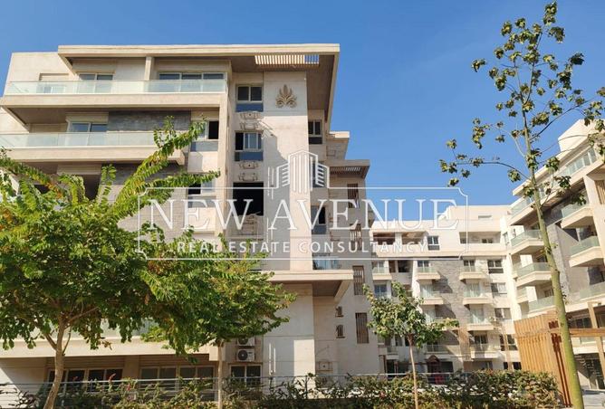 8192384 - الصورة الرئيسية للعقار