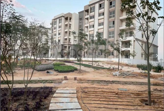 8194873 - صورة العقار 3