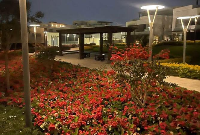 8240866 - صورة العقار 3